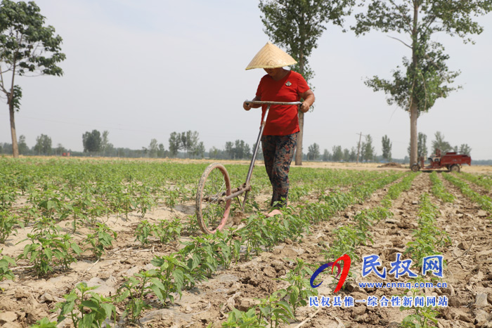 白云寺鎮(zhèn):積極做好農(nóng)業(yè)產(chǎn)業(yè)結(jié)構(gòu)調(diào)整 白云寺鎮(zhèn):積極做好農(nóng)業(yè)產(chǎn)業(yè)結(jié)構(gòu)調(diào)整