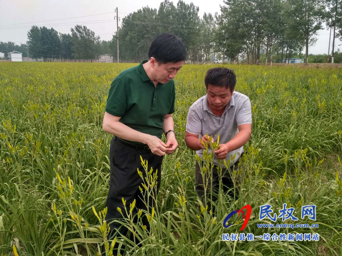縣委常委、副縣長房季到孫六鎮(zhèn)劉炳莊村檢查調(diào)研扶貧工作