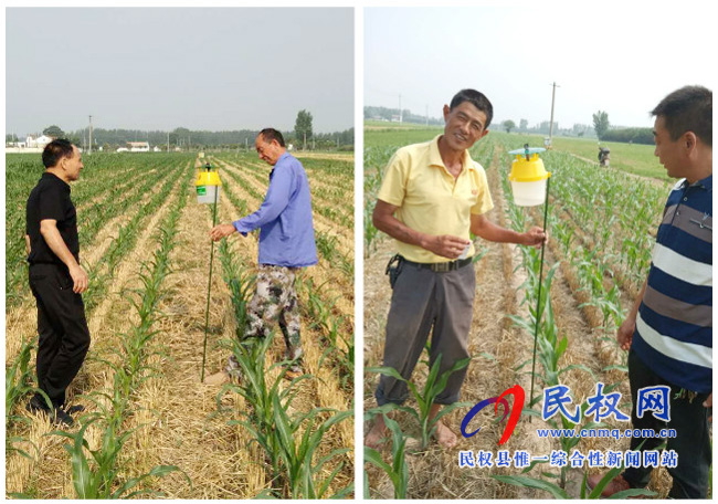 伯黨鄉(xiāng):村村用上草地貪蛾誘捕器 打好“蟲口奪糧戰(zhàn)” 伯黨鄉(xiāng):村村用上草地貪蛾誘捕器 打好“蟲口奪糧戰(zhàn)”