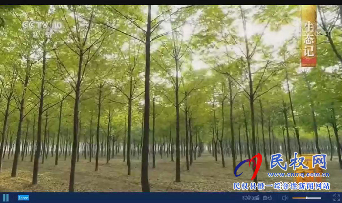 《中國影像方志?民權篇》在央視精彩播出后引發(fā)熱烈反響 《中國影像方志?民權篇》在央視精彩播出后引發(fā)熱烈反響