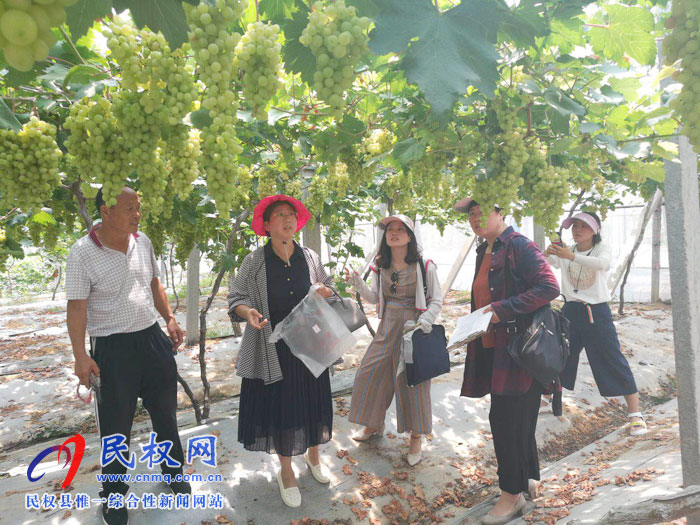 市農(nóng)業(yè)農(nóng)村局領(lǐng)導(dǎo)蒞民開展農(nóng)產(chǎn)品質(zhì)量安全例行監(jiān)測工作 市農(nóng)業(yè)農(nóng)村局領(lǐng)導(dǎo)蒞民開展農(nóng)產(chǎn)品質(zhì)量安全例行監(jiān)測工作