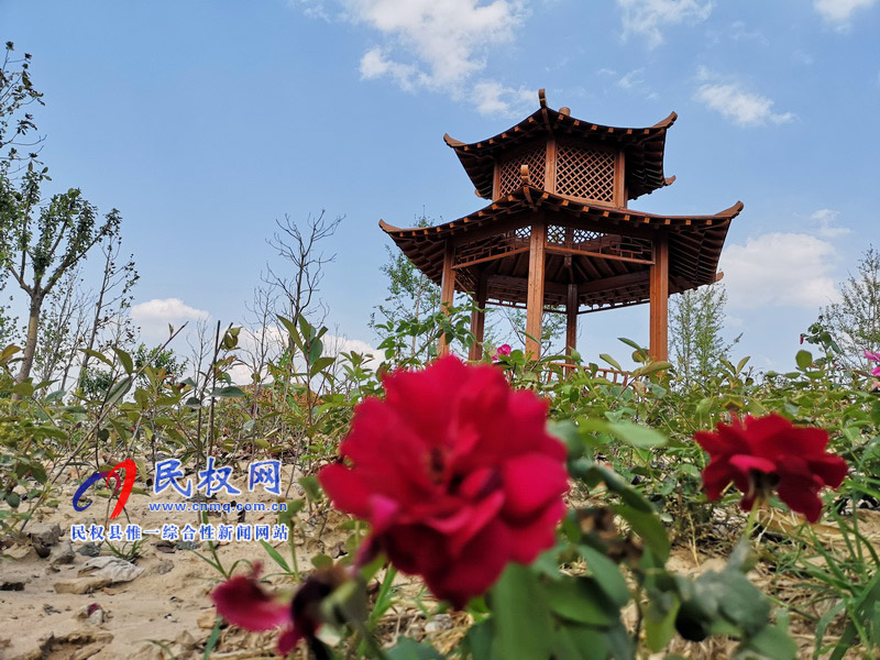 民權(quán)美景“民權(quán)藍” ? 民權(quán)美景“民權(quán)藍” ?