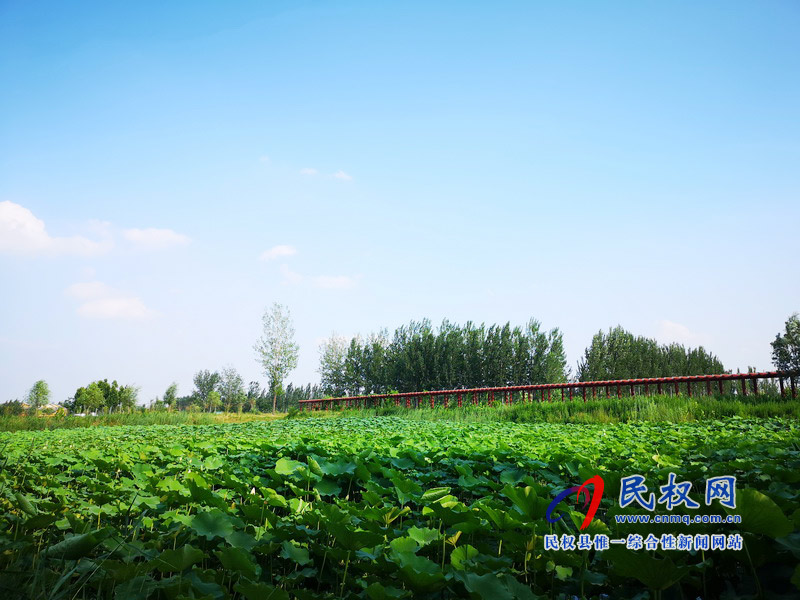 民權(quán)美景“民權(quán)藍” ? 民權(quán)美景“民權(quán)藍” ?