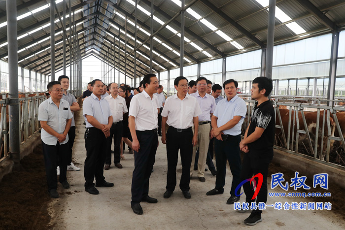 全市產(chǎn)業(yè)扶貧、金融扶貧暨結(jié)對幫扶民權(quán)縣工作推進(jìn)會在我縣召開