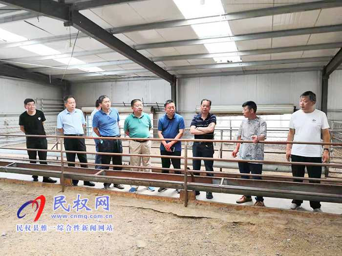 省畜牧技術(shù)推廣站站長徐澤軍蒞臨民權(quán)調(diào)研 省畜牧技術(shù)推廣站站長徐澤軍蒞臨民權(quán)調(diào)研