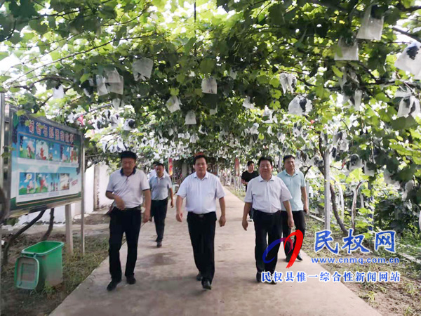 副縣長孟祥亮到人和鎮(zhèn)雙飛莊園調(diào)研生態(tài)農(nóng)業(yè) 副縣長孟祥亮到人和鎮(zhèn)雙飛莊園調(diào)研生態(tài)農(nóng)業(yè)