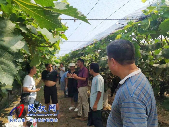 園藝站組織群眾參觀學(xué)習(xí)葡萄種植新技術(shù) 園藝站組織群眾參觀學(xué)習(xí)葡萄種植新技術(shù)