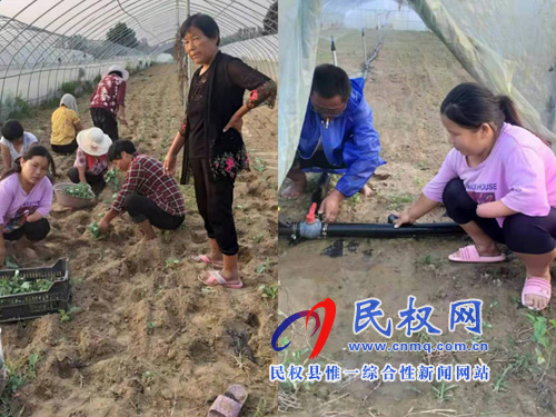 脫貧不脫志——黃土地里長(zhǎng)出新希望 脫貧不脫志——黃土地里長(zhǎng)出新希望