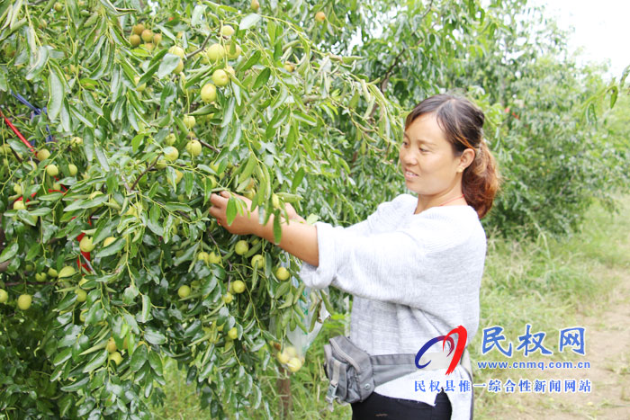 花園鄉(xiāng)打好“產(chǎn)業(yè)升級牌”助推鄉(xiāng)村振興 花園鄉(xiāng)打好“產(chǎn)業(yè)升級牌”助推鄉(xiāng)村振興