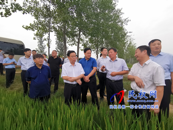 市人大常委會副主任、縣委書記姬脈常調(diào)研我縣稻漁綜合種養(yǎng)工作