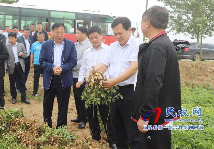 民權(quán):莊稼地里 慶國慶 話豐收 民權(quán):莊稼地里 慶國慶 話豐收