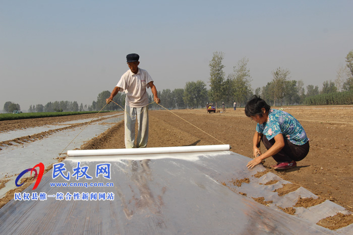 雙塔鎮(zhèn)調(diào)整農(nóng)業(yè)產(chǎn)業(yè)結(jié)構(gòu)助力鄉(xiāng)村振興 雙塔鎮(zhèn)調(diào)整農(nóng)業(yè)產(chǎn)業(yè)結(jié)構(gòu)助力鄉(xiāng)村振興