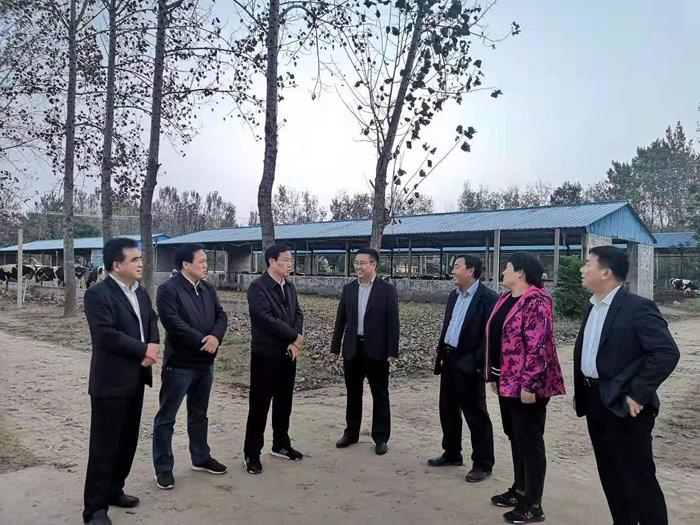 市人大常委會副主任、縣委書記姬脈常到我縣部分鄉(xiāng)鎮(zhèn)調(diào)研產(chǎn)業(yè)扶貧項(xiàng)目發(fā)展情況