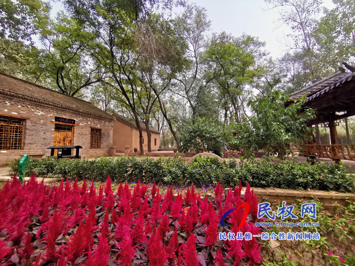 坐落在森林里的村莊——孫六鎮(zhèn)任莊村 坐落在森林里的村莊——孫六鎮(zhèn)任莊村