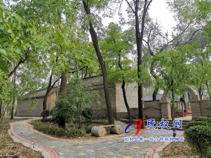 坐落在森林里的村莊——孫六鎮(zhèn)任莊村 坐落在森林里的村莊——孫六鎮(zhèn)任莊村