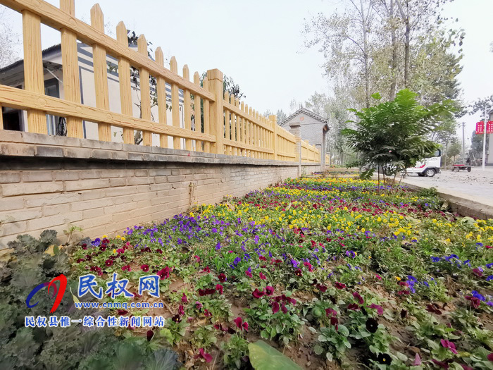 坐落在森林里的村莊——孫六鎮(zhèn)任莊村 坐落在森林里的村莊——孫六鎮(zhèn)任莊村