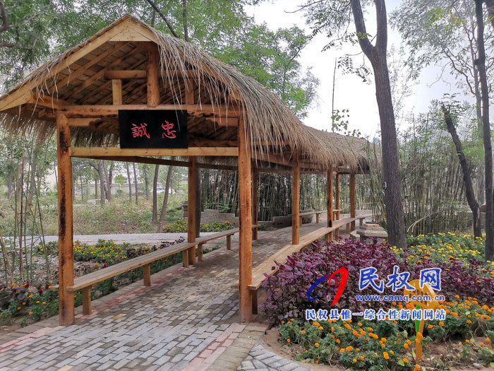 坐落在森林里的村莊——孫六鎮(zhèn)任莊村 坐落在森林里的村莊——孫六鎮(zhèn)任莊村