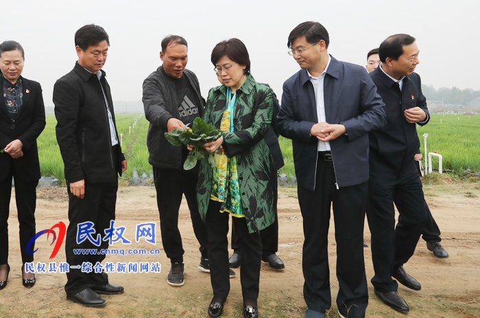 市委副書記陳向平到我縣調(diào)研產(chǎn)業(yè)扶貧工作 市委副書記陳向平到我縣調(diào)研產(chǎn)業(yè)扶貧工作