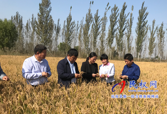 市農(nóng)業(yè)農(nóng)村局水產(chǎn)科領(lǐng)導(dǎo)蒞民查看健康示范場(chǎng)資質(zhì)暨稻漁綜合種養(yǎng)稻田生產(chǎn)情況 市農(nóng)業(yè)農(nóng)村局水產(chǎn)科領(lǐng)導(dǎo)蒞民查看健康示范場(chǎng)資質(zhì)暨稻漁綜合種養(yǎng)稻田生產(chǎn)情況