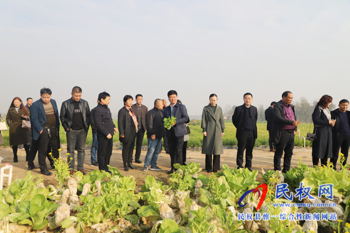 商丘市計生協(xié)生育關(guān)懷工作現(xiàn)場會在民權(quán)縣白云寺鎮(zhèn)召開