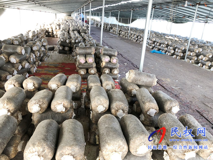 老顏集鄉(xiāng)趙莊村“產(chǎn)業(yè)鋪路 引領(lǐng)脫貧致富” 老顏集鄉(xiāng)趙莊村“產(chǎn)業(yè)鋪路 引領(lǐng)脫貧致富”