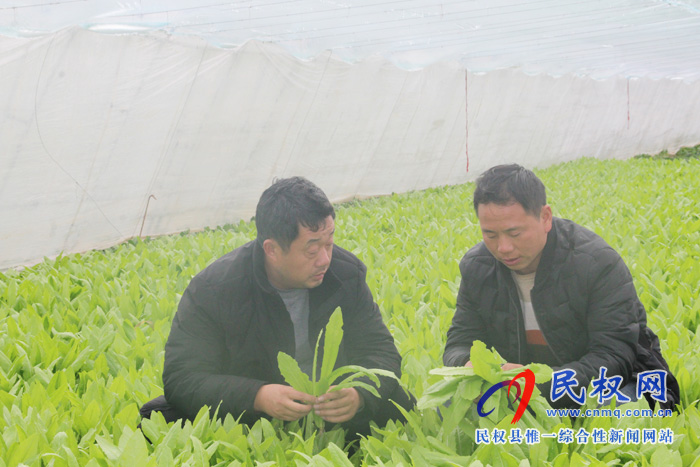 民權(quán)縣林七鄉(xiāng):為返鄉(xiāng)創(chuàng)業(yè)保駕護航 民權(quán)縣林七鄉(xiāng):為返鄉(xiāng)創(chuàng)業(yè)保駕護航