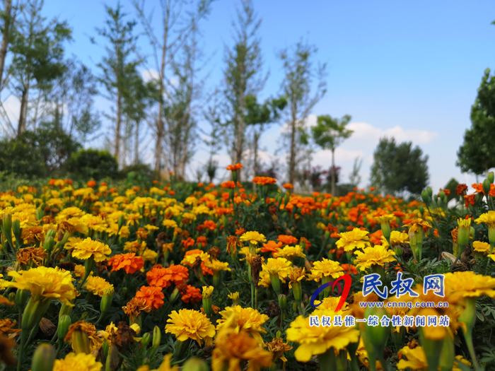 民權(quán)被住建部命名為國家園林縣城 民權(quán)被住建部命名為國家園林縣城