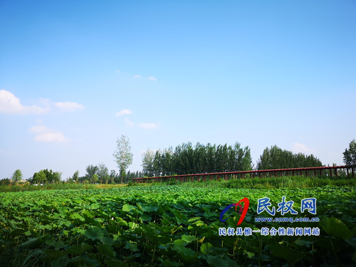 民權(quán)被住建部命名為國家園林縣城 民權(quán)被住建部命名為國家園林縣城