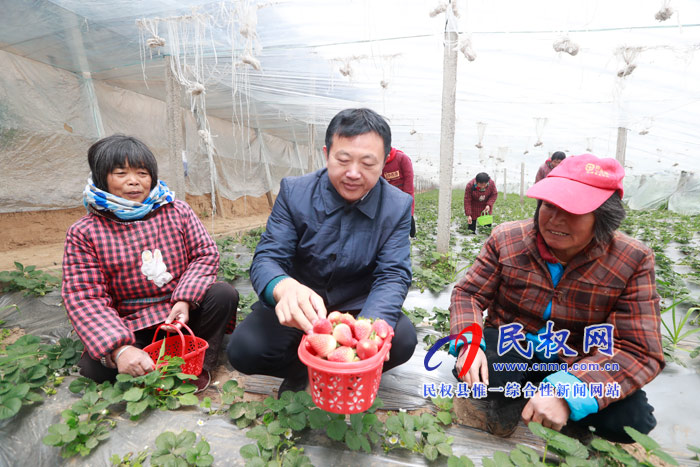 民權(quán)全方位引導(dǎo)農(nóng)民工返鄉(xiāng)創(chuàng)業(yè) 激活發(fā)展動能三萬多人返鄉(xiāng)創(chuàng)業(yè)帶富鄉(xiāng)鄰 民權(quán)全方位引導(dǎo)農(nóng)民工返鄉(xiāng)創(chuàng)業(yè) 激活發(fā)展動能三萬多人返鄉(xiāng)創(chuàng)業(yè)帶富鄉(xiāng)鄰