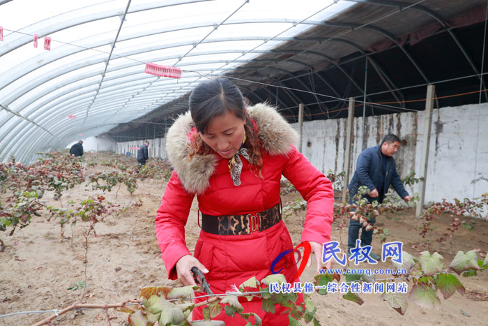 民權(quán)全方位引導(dǎo)農(nóng)民工返鄉(xiāng)創(chuàng)業(yè) 激活發(fā)展動能三萬多人返鄉(xiāng)創(chuàng)業(yè)帶富鄉(xiāng)鄰 民權(quán)全方位引導(dǎo)農(nóng)民工返鄉(xiāng)創(chuàng)業(yè) 激活發(fā)展動能三萬多人返鄉(xiāng)創(chuàng)業(yè)帶富鄉(xiāng)鄰