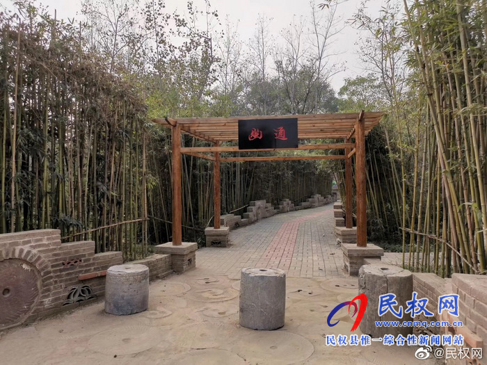 孫六鎮(zhèn)任莊村“森林村莊”美如畫 孫六鎮(zhèn)任莊村“森林村莊”美如畫