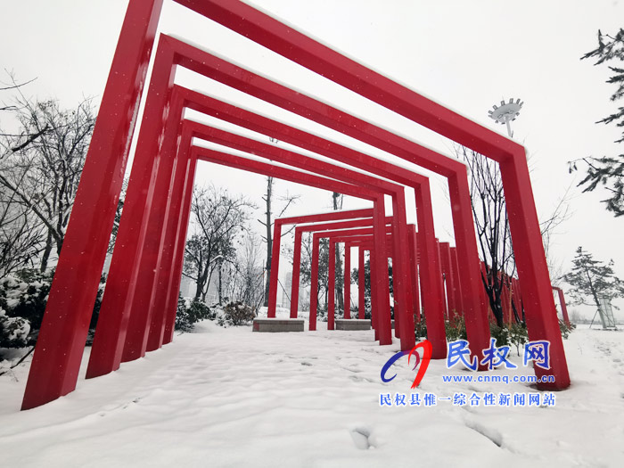 圖說(shuō)|河南民權(quán)：2020年的第一場(chǎng)雪，太美了吧!