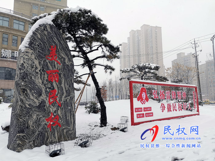 圖說(shuō)|河南民權(quán)：2020年的第一場(chǎng)雪，太美了吧!