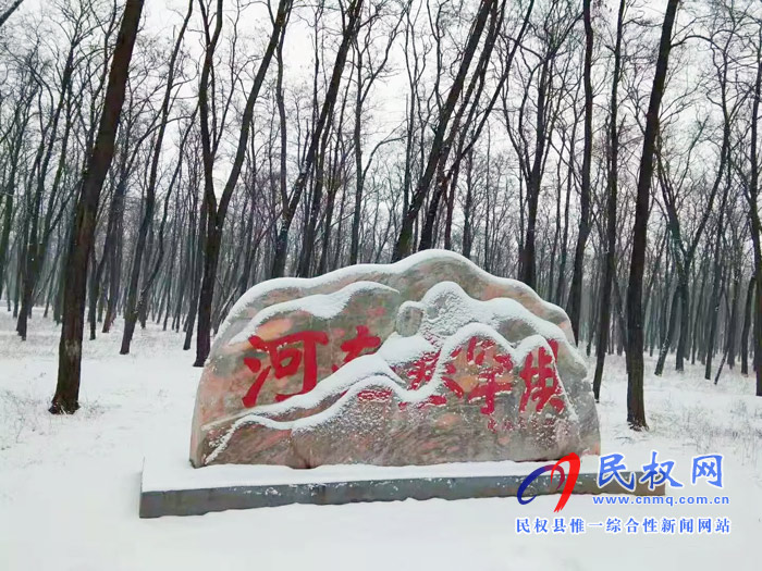 圖說(shuō)|河南民權(quán)：2020年的第一場(chǎng)雪，太美了吧!