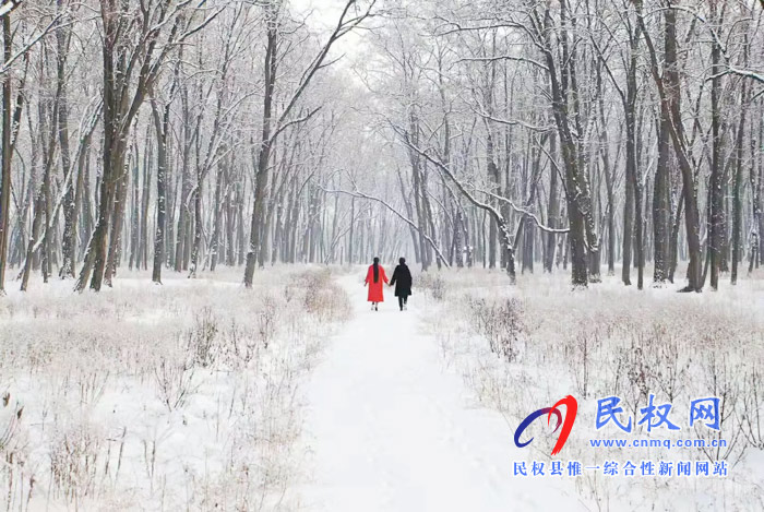 圖說(shuō)|河南民權(quán)：2020年的第一場(chǎng)雪，太美了吧!