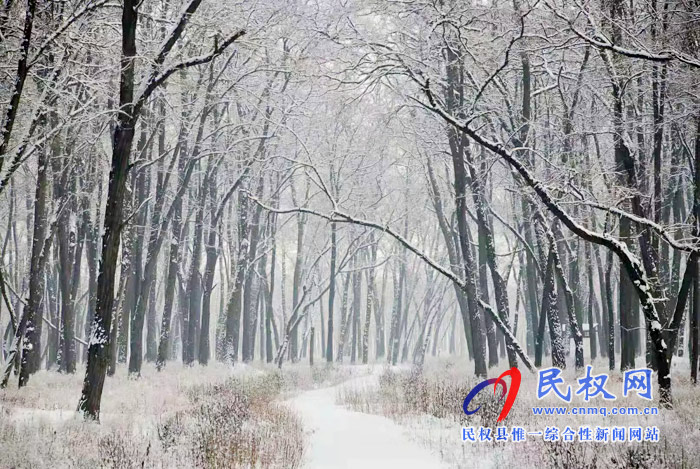 圖說(shuō)|河南民權(quán)：2020年的第一場(chǎng)雪，太美了吧!
