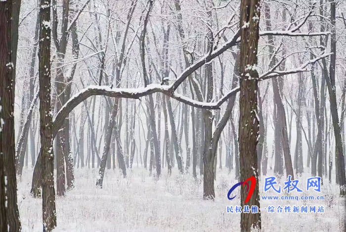 圖說(shuō)|河南民權(quán)：2020年的第一場(chǎng)雪，太美了吧!