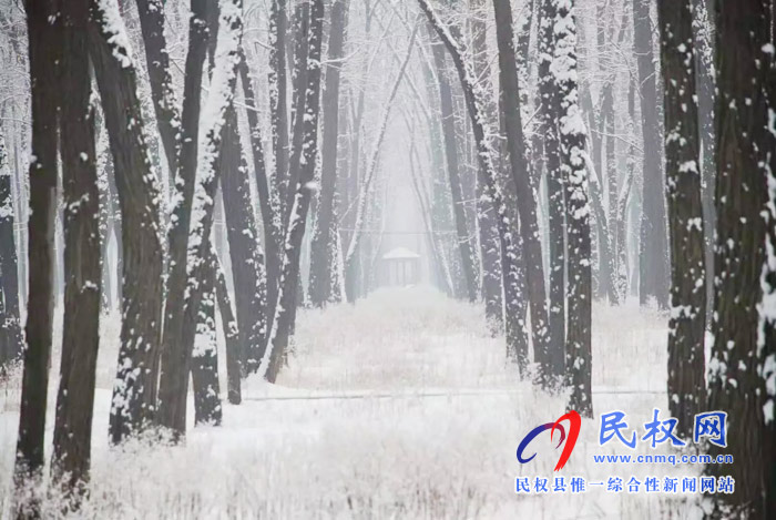 圖說(shuō)|河南民權(quán)：2020年的第一場(chǎng)雪，太美了吧!