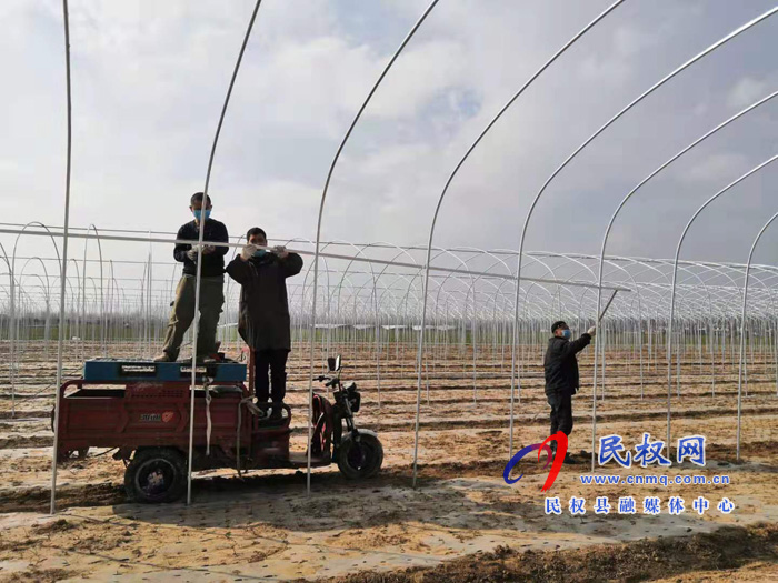 褚廟鄉(xiāng)多舉措疫情防控與農(nóng)業(yè)生產(chǎn)雙促進(jìn) 褚廟鄉(xiāng)多舉措疫情防控與農(nóng)業(yè)生產(chǎn)雙促進(jìn)