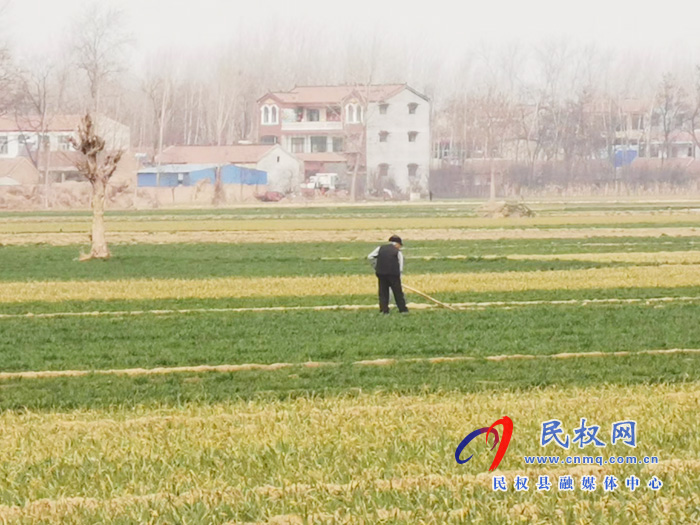 白云寺鎮(zhèn)：疫情防控和春耕生產(chǎn)兩手抓、兩不誤