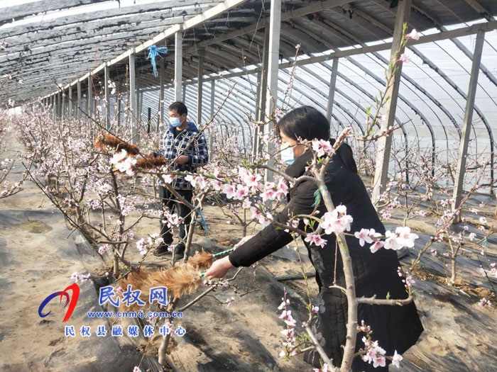 雙塔鎮(zhèn):一手抓疫情防控 一手抓農耕生產 雙塔鎮(zhèn):一手抓疫情防控 一手抓農耕生產