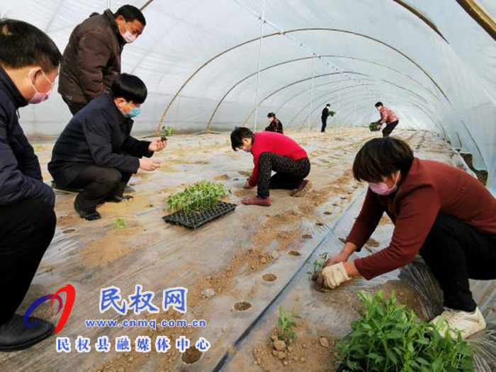 林七鄉(xiāng):春耕春種生產(chǎn)忙 林七鄉(xiāng):春耕春種生產(chǎn)忙
