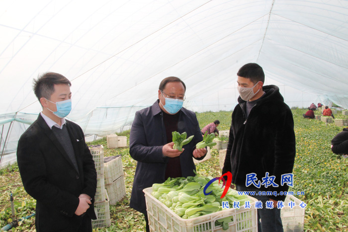 褚廟鄉(xiāng)四舉措打好脫貧攻堅收攻戰(zhàn) 褚廟鄉(xiāng)四舉措打好脫貧攻堅收攻戰(zhàn)