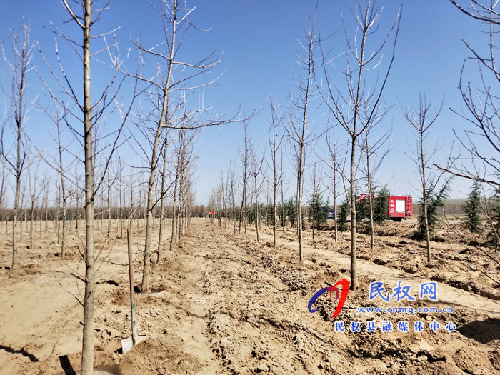 市人大常委會(huì)在民權(quán)國家森林公園舉辦民主法治生態(tài)建設(shè)主題植樹活動(dòng) 市人大常委會(huì)在民權(quán)國家森林公園舉辦民主法治生態(tài)建設(shè)主題植樹活動(dòng)