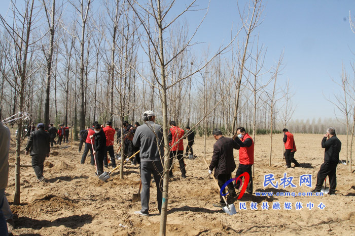 市人大常委會(huì)在民權(quán)國家森林公園舉辦民主法治生態(tài)建設(shè)主題植樹活動(dòng) 市人大常委會(huì)在民權(quán)國家森林公園舉辦民主法治生態(tài)建設(shè)主題植樹活動(dòng)