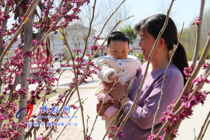 民權(quán)縣褚廟鄉(xiāng)小游園惠及大民生 民權(quán)縣褚廟鄉(xiāng)小游園惠及大民生