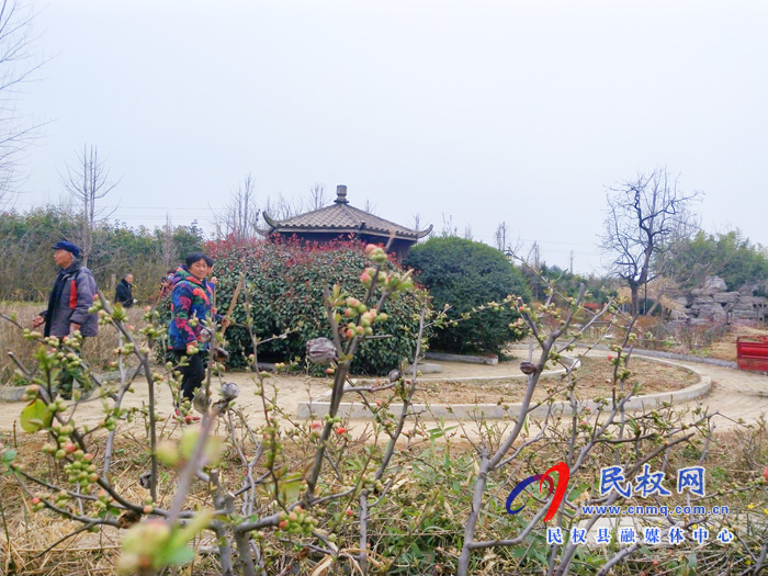 王橋鎮(zhèn):忙趁春光建游園 王橋鎮(zhèn):忙趁春光建游園