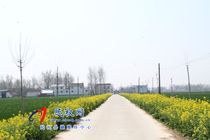 褚廟鄉(xiāng)孫坡樓村:民風(fēng)環(huán)境美 農(nóng)民大變樣 褚廟鄉(xiāng)孫坡樓村:民風(fēng)環(huán)境美 農(nóng)民大變樣