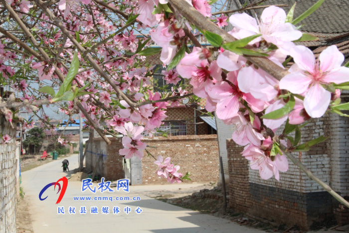 褚廟鄉(xiāng)孫坡樓村:民風(fēng)環(huán)境美 農(nóng)民大變樣 褚廟鄉(xiāng)孫坡樓村:民風(fēng)環(huán)境美 農(nóng)民大變樣