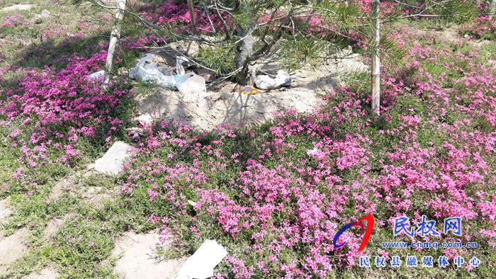【不文明行為曝光臺(tái)】市民觀景不文明 城市環(huán)境“小受傷” 【不文明行為曝光臺(tái)】市民觀景不文明 城市環(huán)境“小受傷”